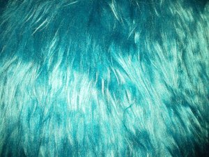 10702152_10154663497005005_4370069648135566011_n